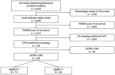 Outcome in acute ischemic stroke patients with large-vessel occlusion and initial mild deficits